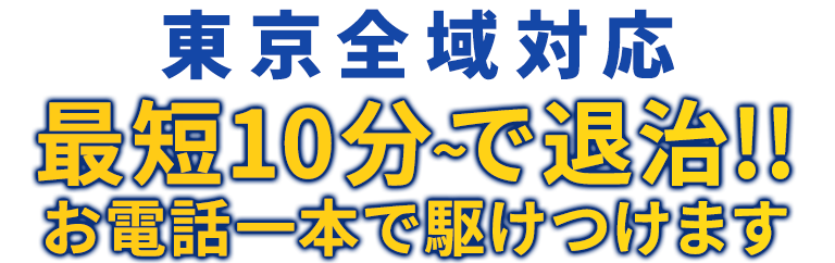 東京全域対応 最短10分～で退治!! お電話一本で駆けつけます