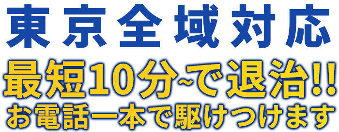 東京全域対応 最短10分～で退治!! お電話一本で駆けつけます