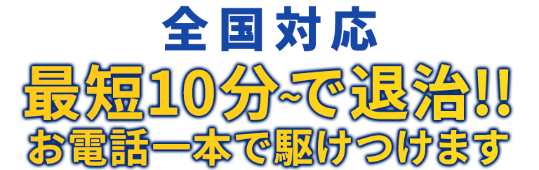 東京全域対応 最短10分～で退治!! お電話一本で駆けつけます