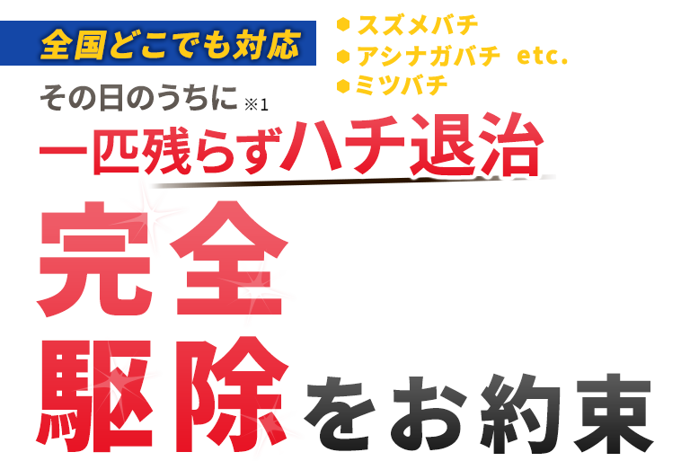 【全国どこでも対応】その日のうちに一匹残らずハチ退治 完全駆除をお約束