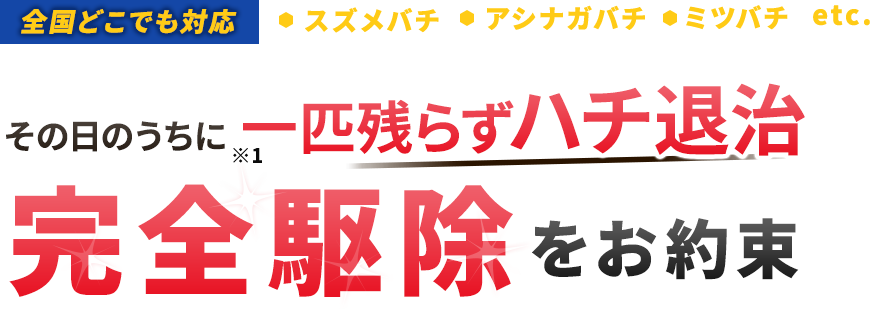 【全国どこでも対応】その日のうちに一匹残らずハチ退治 完全駆除をお約束