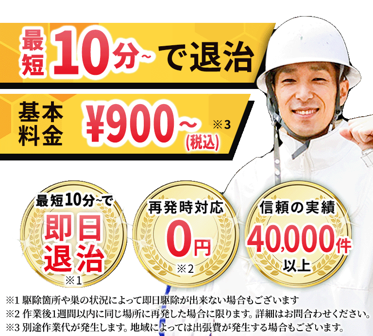 最短10分～で退治、駆除費用\4,000? ※駆除箇所や巣の状況によって即日駆除が出来ない場合もございます 再発時対応0円※条件あり、信頼の実績40,000件以上