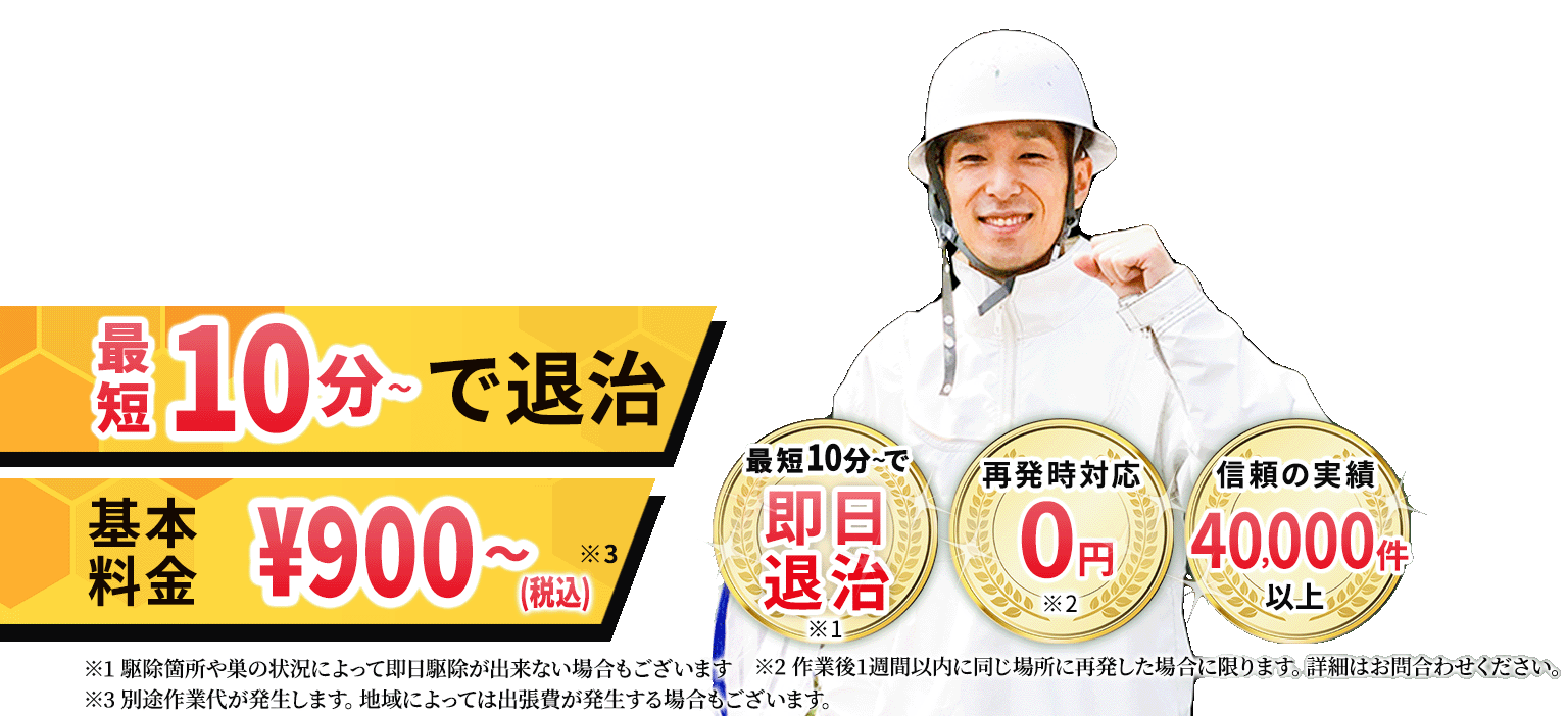 最短10分～で退治、駆除費用\4,000? ※駆除箇所や巣の状況によって即日駆除が出来ない場合もございます 再発時対応0円※条件あり、信頼の実績40,000件以上