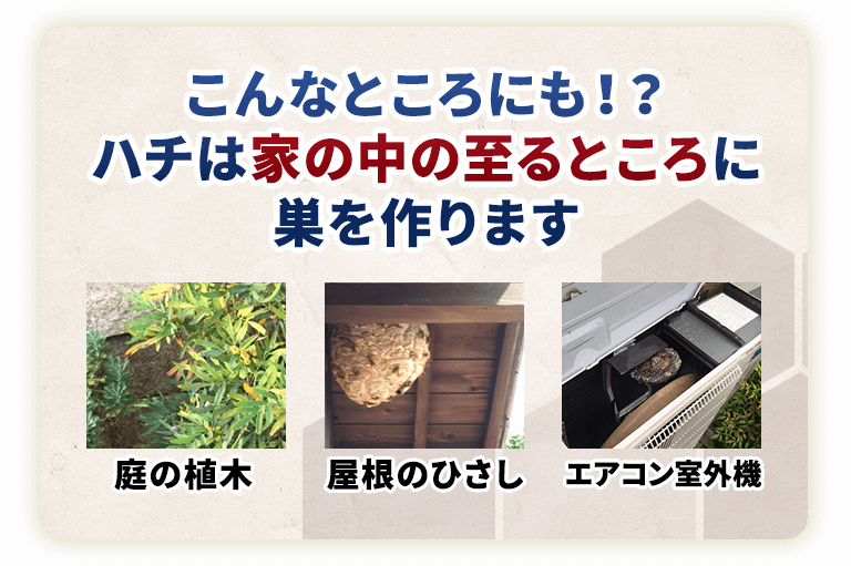 こんなところにも！？ハチは家の中の至るところに巣を作ります