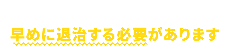 ハチを一匹でも見つけたら早めに退治する必要があります