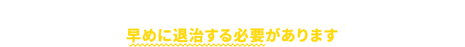 ハチを一匹でも見つけたら早めに退治する必要があります