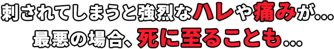 刺されてしまうと強烈なハレや痛みが… 最悪の場合、死に至ることも…