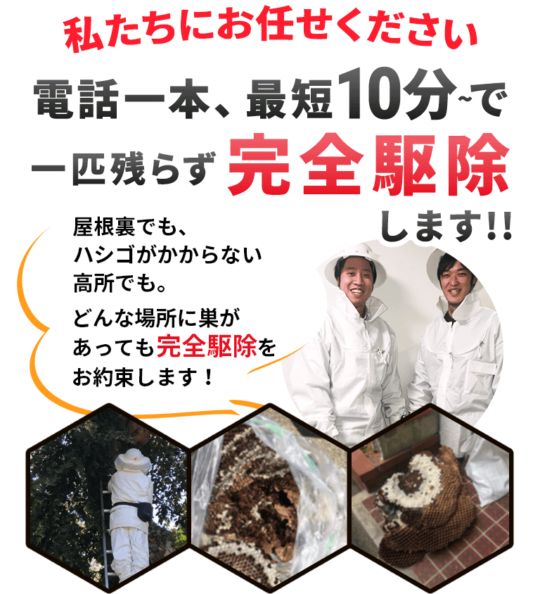 私たちにお任せください 電話一本、最短10分～で一匹残らず完全駆除します！！