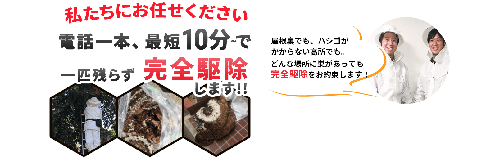 私たちにお任せください 電話一本、最短10分～で一匹残らず完全駆除します！！