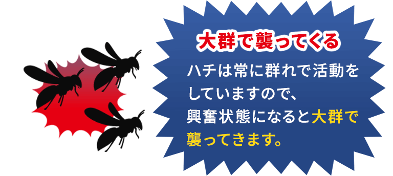 大群で襲ってくる