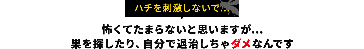 怖くてたまらないと思いますが… 巣を探したり、自分で退治しちゃダメなんです