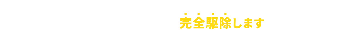 本日お問い合わせいただければ、その日のうちに完全駆除します