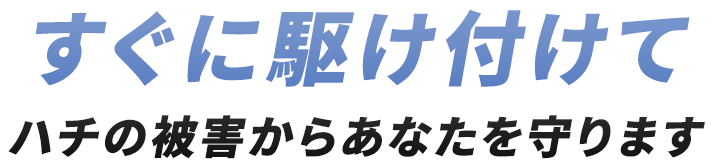 全国どこでも対応 ハチの被害からあなたを守ります