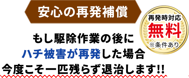 【安心の再発補償】もし駆除作業の後にハチ被害が再発した場合、今度こそ一匹残らず退治します!!