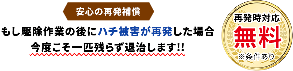 【安心の再発補償】もし駆除作業の後にハチ被害が再発した場合、今度こそ一匹残らず退治します!!