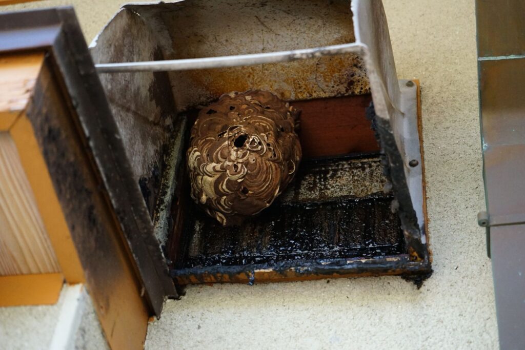 換気扇や換気口にできた蜂の巣を駆除する方法を解説!  ハチお助け