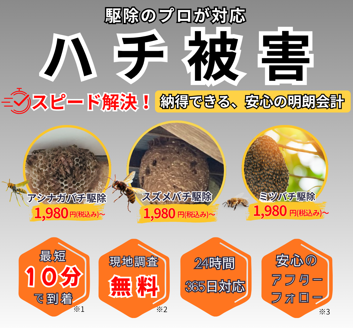 蜂 嫌い な 匂い