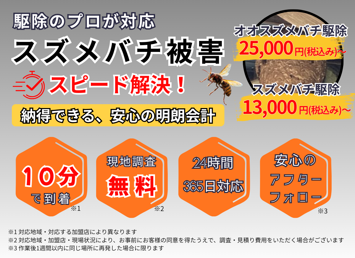 スズメバチ生捕りトラップ ３個 スズメバチ生捕りトラップ 3個